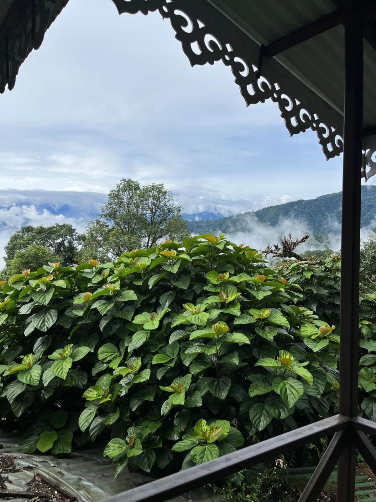 Bed and Breakfast The Barfung Retreat Gangtok Exterior foto